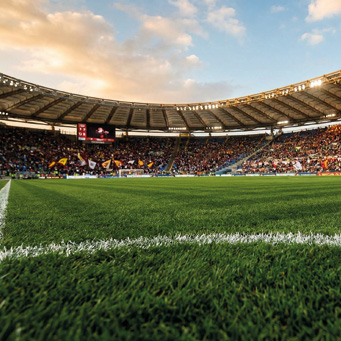 prato a rotoli per campi sportivi varietà Olimpico
